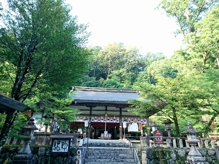 niukawakaminaka.jpg