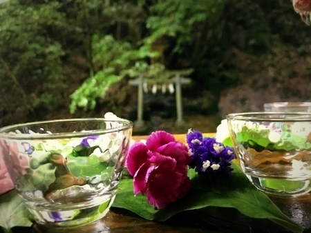 ryuchinalterflower.jpg