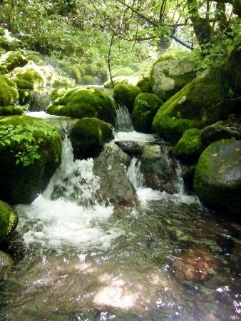 2011八ヶ岳 076 (338x450).jpg