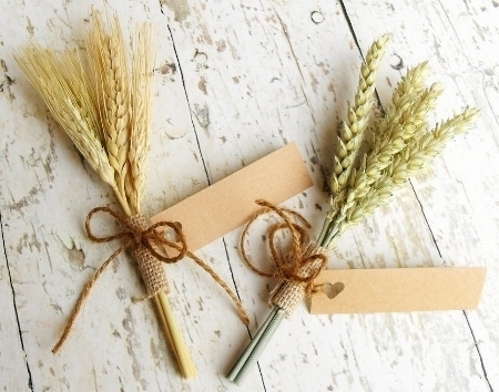 Mini-Wheat(450x354).jpg