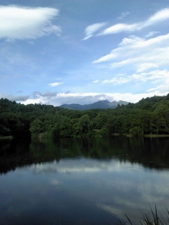 Picture071413_170140 (338x450).jpg