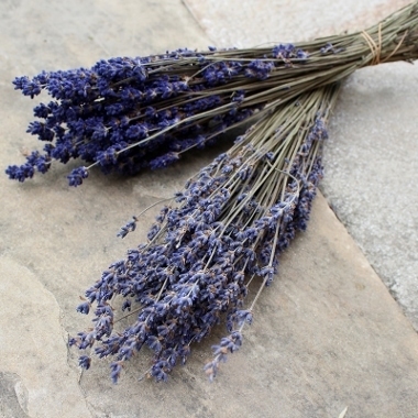 lavender.jpg