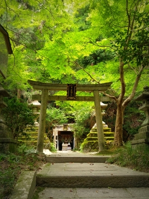 shirakawaoyamatsumi.jpg