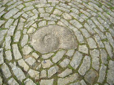 spiral1 0009.jpg