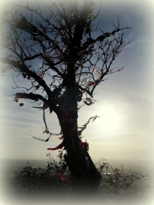 treeegsc.jpg